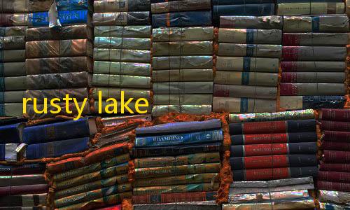 快手点赞rusty lake hotel中文版